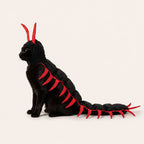 Cat Centipede Costume for Halloween